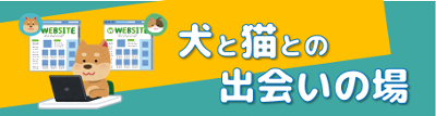 犬と猫との出会いの場