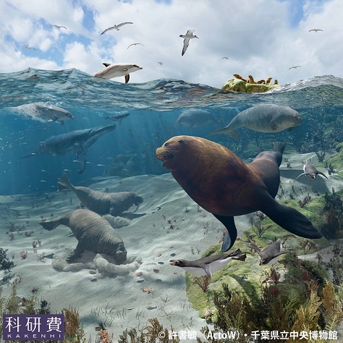 県立中央博物館 特別展「よみがえるチバニアン期の古生物」の画像