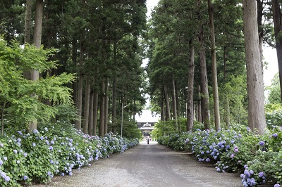 日本寺