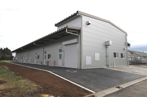 千葉県立農業大学校出荷調製施設外観写真