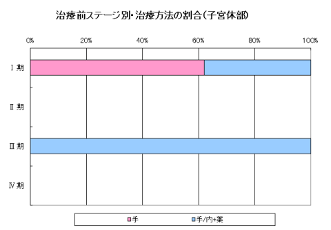 子宮体部治療 子宮体部治療