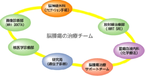 脳神経外科・放射線治療部・膿瘍血液内科・脳膿瘍治療サポートチーム・研究局(遺伝子診断)・核医学診療部・画像診断部が、脳腫瘍の医療チームです。