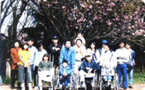 写真:さくらの木の下で