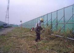 除草作業