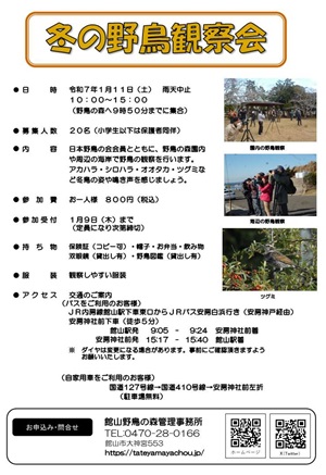 冬の野鳥観察会のイベントチラシ