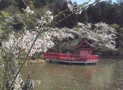 茂原公園