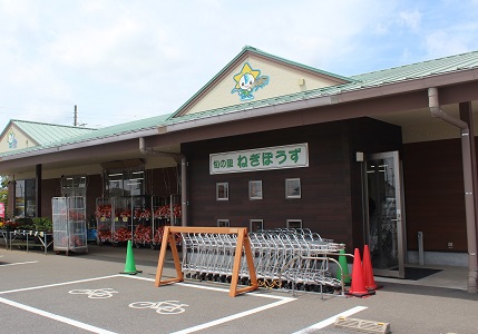旬の里ねぎぼうずの写真