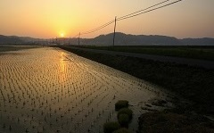 東庄町の風景の写真