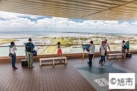 飯岡刑部岬の画像