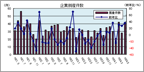 企業倒産件数(平成24年5月:負債総額1千万円以上)