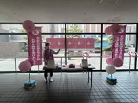 展示の様子
