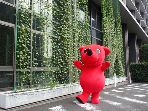チーバくんと緑のカーテン