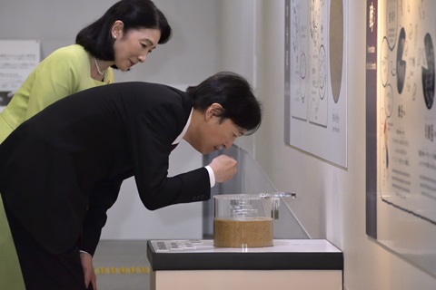 もの知りしょうゆ館の見学コースにて、もろみの観察と香り御体験