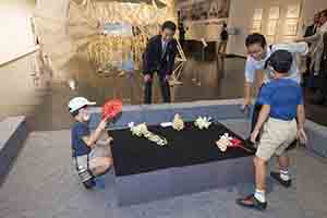 県立美術館「テオ・ヤンセン展」の展示の様子