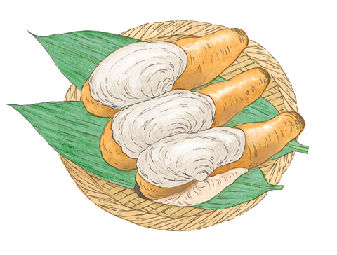 富津漁協江戸前白ミルのイラスト