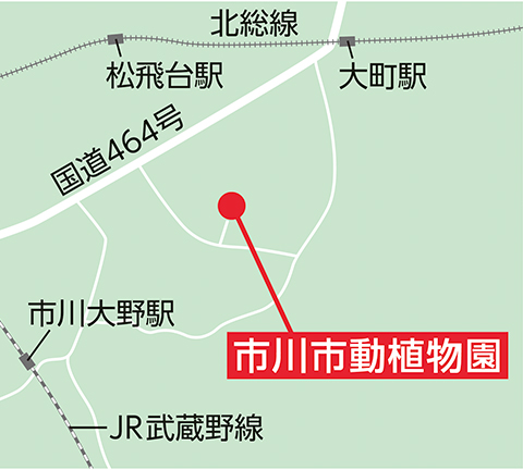 市川市動植物園周辺地図