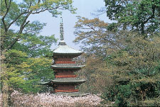 中山法華経寺