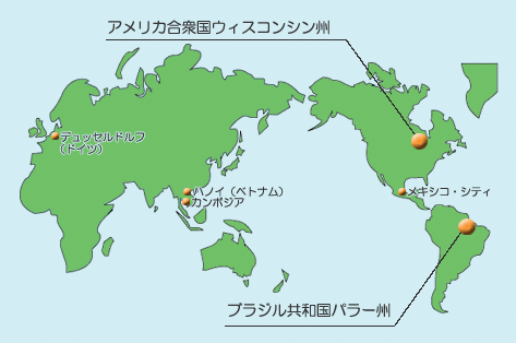 世界地図