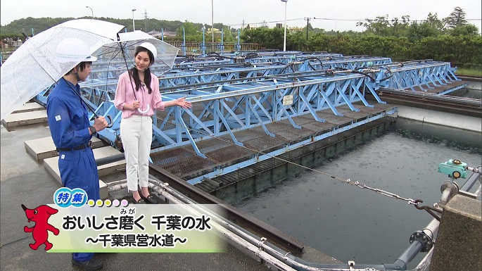 令和5年6月3日放送分（特集）「おいしさ磨く 千葉の水 ～千葉県営水道～」／ウィークリー千葉県