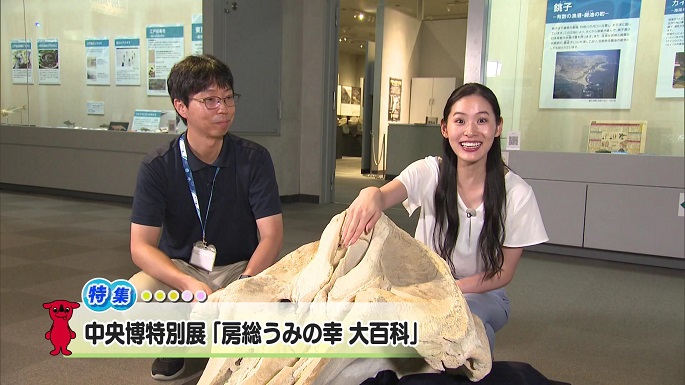 令和7年8月9日放送分(特集)「中央博特別展『房総うみの幸 大百科』」／ウィークリー千葉県