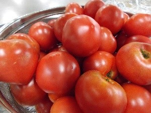 完熟の市川とまと写真