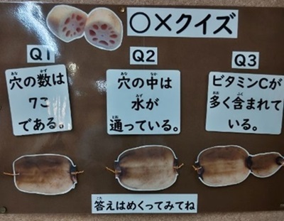 れんこんに関するクイズ