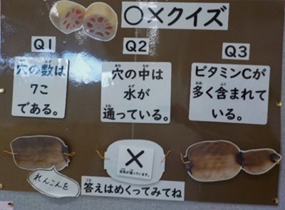 れんこんに関するクイズの答え