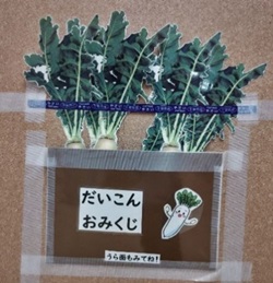 だいこんおみくじの掲示物