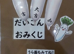 だいこんおみくじの掲示物