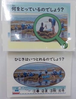 ひじきに関するクイズ