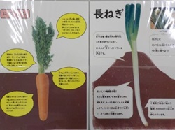 にんじんと長ねぎに関する掲示物