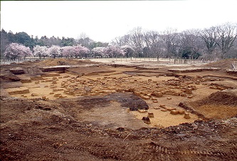 第5文化層の石器出土状況