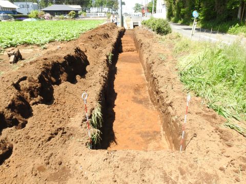 写真1　調査トレンチ完掘写真（東から）