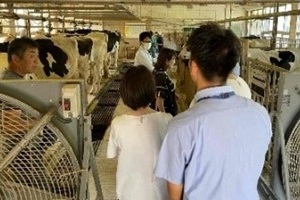 旭農業高校で牛舎での実習を見学する写真