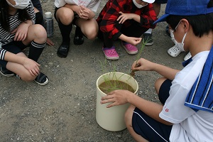 高校生が小学生に苗の説明をする写真
