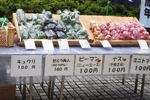 薬園台高校の生徒が育てた野菜の写真