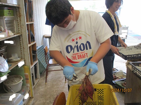 令和6年度夷隅特支さつまいも作成