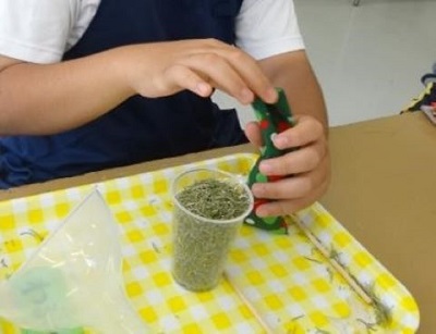 普通科園芸コース作成の様子2
