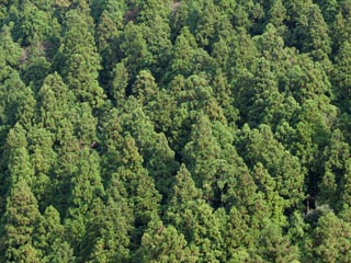 富津市桜井2006年