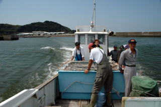 ヒラメ種苗生産・富津（海上輸送1）