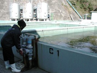 ナンノ屋外水槽