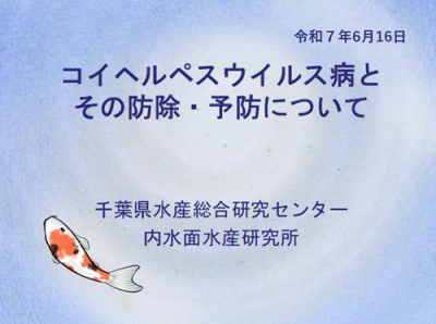 コイヘルペスウイルス病防疫対策研修会資料　表紙