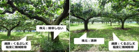写真3