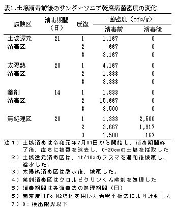 土壌消毒前後のサンダーソニア乾腐病菌密度の変化