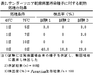 サンダーソニア乾腐病菌汚染種子に対する乾熱処理の効果