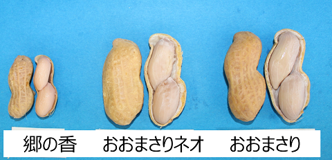 写真2