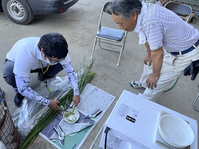 簡易的水分測定法の様子