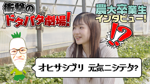 卒業生インタビュー