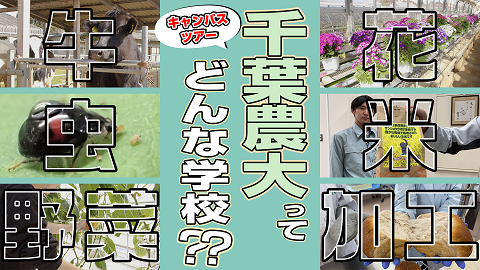 キャンパスツアー
