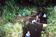 ホタルの生息に配慮して水路を管理（館山市）